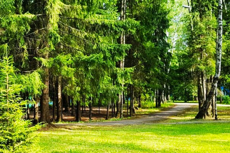 Березка, пансионат для пожилых людей — фото 5